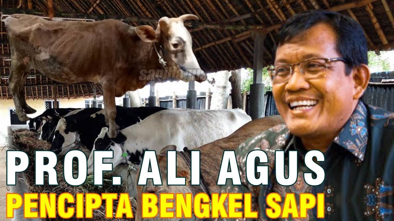 
                                 Sejarah-Kandang-Bengkel-Sapi-Kalijeruk